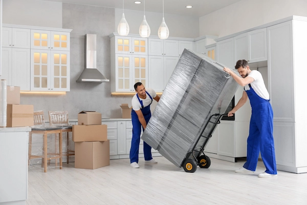 Appliance Transportation Dubai